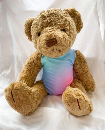 cute ombre pink blue ombre matching teddy bear doll gymnastics leotard xmas gifts